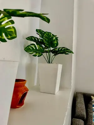 a plant in a white pot sitting on a shelf at Mdina Studio- 5 min de la place in Marrakech