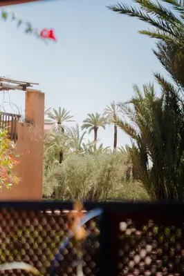 a view of trees and palm trees from a window at Traditional, Cozy and Quiet Apartment, Pool, Palmeraie in Marrakech