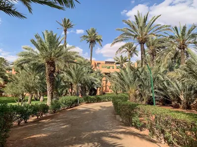 a driveway with palm trees in front of a building at Traditional, Cozy and Quiet Apartment, Pool, Palmeraie in Marrakech
