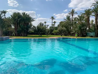 a pool of blue water with palm trees in the background at Traditional, Cozy and Quiet Apartment, Pool, Palmeraie in Marrakech
