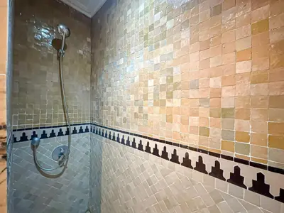 a bathroom with a shower with tiled walls at Oasis Palmeraie - Piscines & terrasses in Marrakech