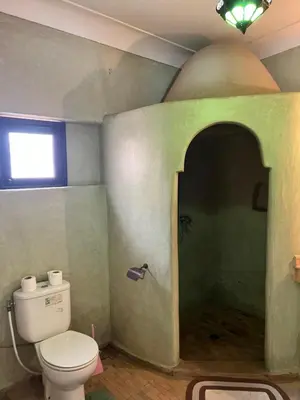 a bathroom with a toilet in a green room at RIAD Dar Aïlen Médina in Marrakech