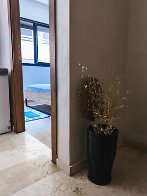 a black potted plant sitting next to a wall at Hypercenter Comfy apartment Marrakech pool in Marrakech