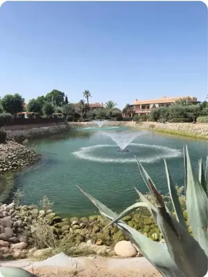 a bird is flying over a pool of water at Oasis Garden Apartment Marrakech in Marrakech