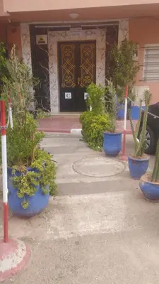 a group of potted plants in front of a building at Appartement cosy Marrakech in Marrakech