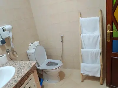 a bathroom with a toilet and a towel rack at House of Diamonds in Marrakech