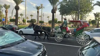a horse drawn carriage on a city street with cars at Appartement Ksour in Sraghna