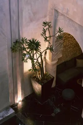 a potted plant in a room with a couch at Riad K in Marrakech