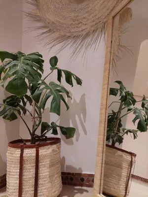 a plant in a basket next to a mirror at Marrakchi Home, Vintage Terrace Overlooking Pool in Marrakech