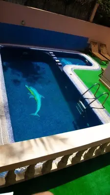 a swimming pool with a shark in the water at Welcome to Riad Glam Marrakech in Marrakech