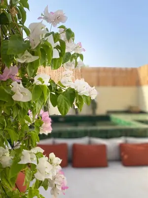 a plant with pink flowers and a couch in the background at Riad Costa 2 privates pools rooftop breakfast in Marrakech