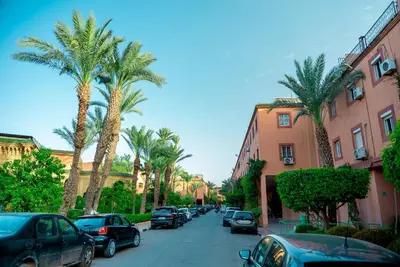 a street lined with palm trees and parked cars at White Riad Residence in Oulad Akkou