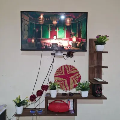a flat screen tv hanging on a wall with potted plants at Apartment in the heart of enchanting Marrakech in Marrakech