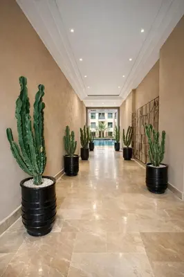 a row of cactus plants in a hallway at Syra House Residence Moderne 2 Piscine Jacuzzi Parking in Marrakech