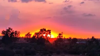 a sunset over a field with trees in the foreground at A cozy escape in Marrakech in Marrakech