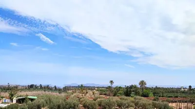 a blue sky with palm trees and a house at A cozy escape in Marrakech in Marrakech