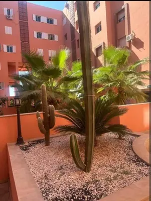 a cactus and palm trees in front of a building at Marrakech Gueliz Apartement in Marrakech