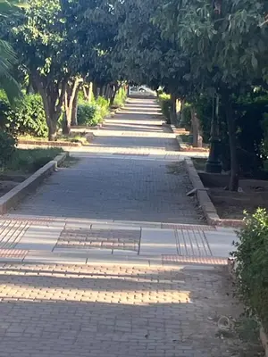 a cobblestone street with trees in a park at Riad traditionnel Kham's centre Marrakech in Marrakech
