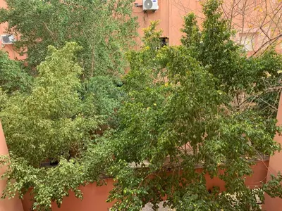 a group of trees in front of a wall at Lovely Studio a gulez centre marrakech in Marrakech