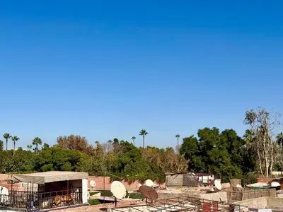 a view of a zoo with trees in the background at Riad des bibouches pool breakfast private in Marrakech