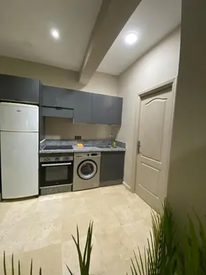 a kitchen with a white refrigerator and a dishwasher at Red city charm - city center apartment in Marrakech