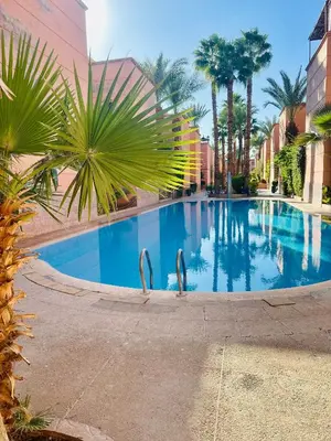 two swans are standing in a swimming pool at B&B Lina Stay Marrakech in Marrakech