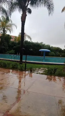 a pool with a palm tree and a fountain at Marrakech garden lilla in Marrakech