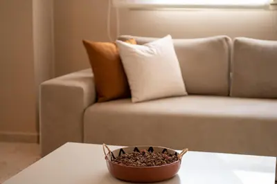a bowl of food sitting on a table next to a couch at Elegant & Cozy Luxury Apartment Hivernage, Pool City Center in Marrakech