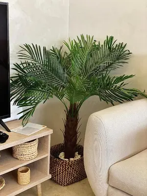 a palm tree in a pot next to a couch at Appartement 2 chambres à Gueliz avec piscine Emplacement parfait in Marrakech