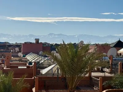 a view of a city with a palm tree at Calm & Authentic in Marrakesh in Marrakech