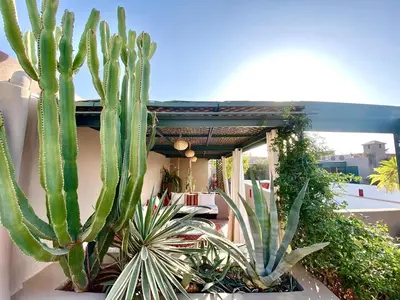 a group of cactuses sitting on a patio at Riad 191 - Maison privée, spa & piscine in Marrakech