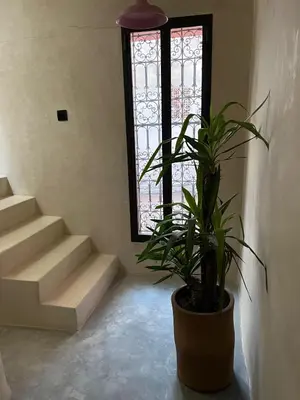 a potted plant in a room with a window at Dar Alma Modernist Designer Riad with Pool in Marrakech