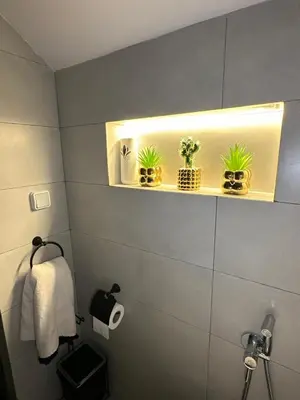 a bathroom with a shelf with potted plants on it at appartement pour famille in Marrakech