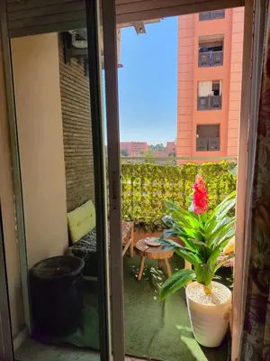 a view of a patio with a plant in a pot at Appartement centre ville Gueliz in Marrakech