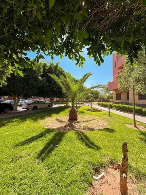 a palm tree in the middle of a field of grass at Appartement de luxe Marrakech - Targa in Marrakech