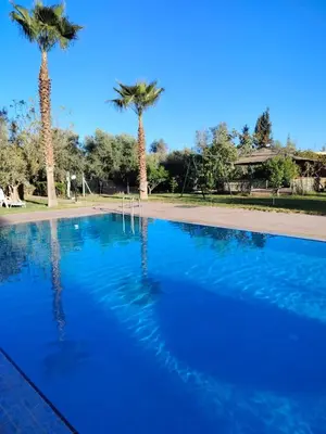 a blue swimming pool with palm trees in the background at Berber House Authentic Moroccan Farm Stay in El Rhechat