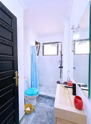 a bathroom with a shower and a toilet and a sink at Villa nakhil in Marrakech