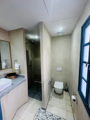 a bathroom with a toilet and a sink and a shower at Riad l'Oasis Bleue en privatisation 10 pers 3 jours mini in Marrakech