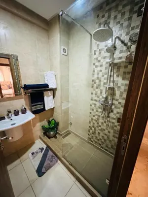 a bathroom with a shower and a sink at Elegant City Apartment in Marrakech