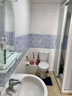 a small bathroom with a toilet and a sink at Apartmen rentals with M Z in Oulad Akkou