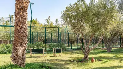 a park with two benches and a palm tree at Villa Rehame in Oulad Jellal