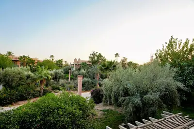 a garden with trees and bushes and a bench at Nassim Al Noor in Marrakech