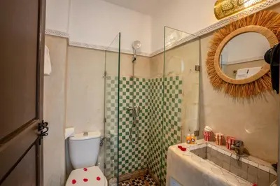 a bathroom with a shower and a toilet and a mirror at Riad Nowara And Spa in Marrakech