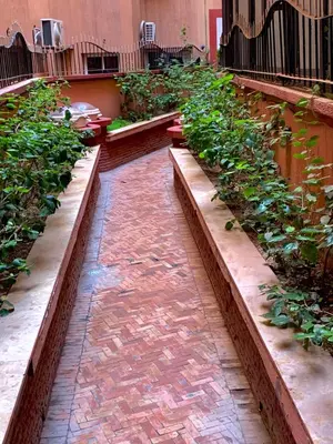 a row of benches in a garden with plants at Studio moderne et calme à Guéliz in Marrakech