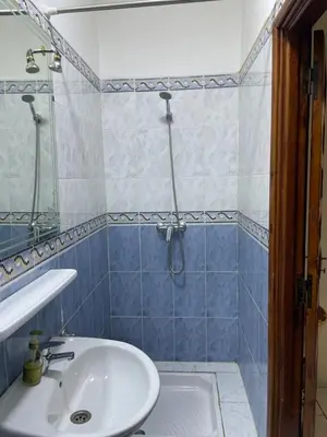 a bathroom with a sink and a shower at Riad Zou Palm in Marrakech