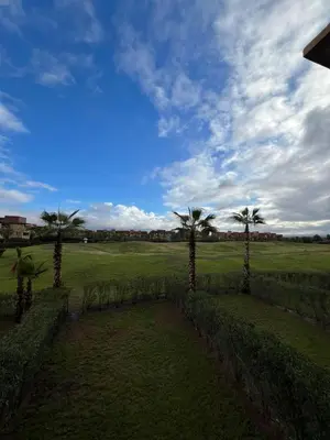 a group of palm trees in a field at Appart Essalam 2 in Marrakech