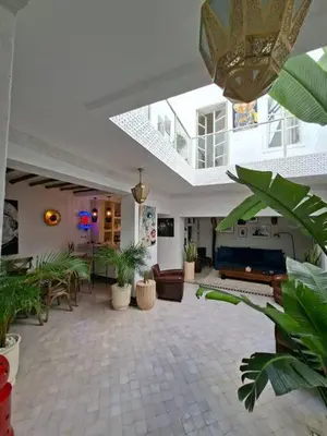 a living room filled with lots of plants at Riad Millefeuilles in Marrakech