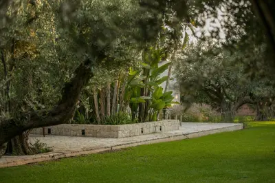 a park with trees and green grass and a tree at Villa Primerose in Marrakech