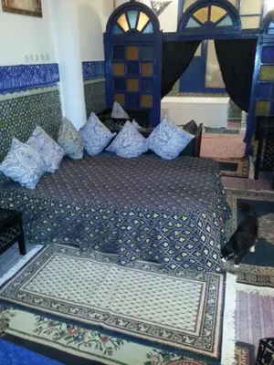 a bedroom with two beds and a cat sitting on the floor at Riad Dar Kader chambre bleue in Marrakech