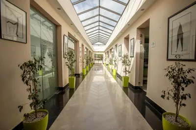 a hallway with potted plants and a skylight at Oliva Hotel Condominium Marrakech in Marrakech